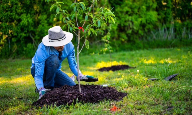 Planting Services