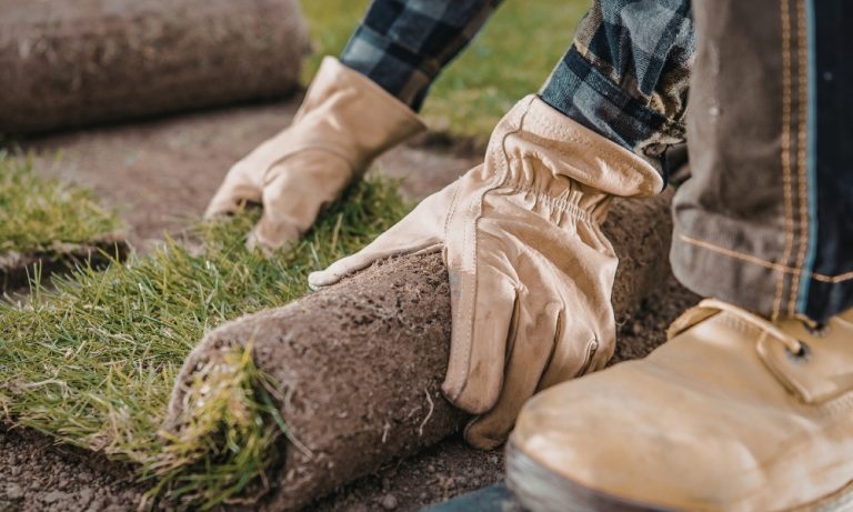 Sod Installation